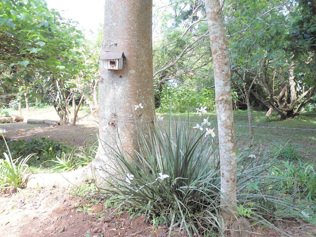 Pousada Recanto Dos Passaros Cunha Exterior foto